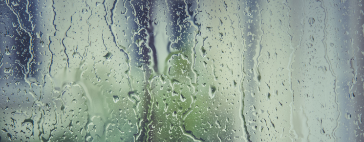 L'isolation et la gestion de la vapeur d'eau