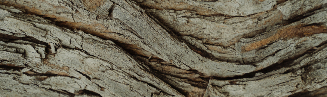 Chêne de l'est : le parquet chêne qui s'adapte à vos envies